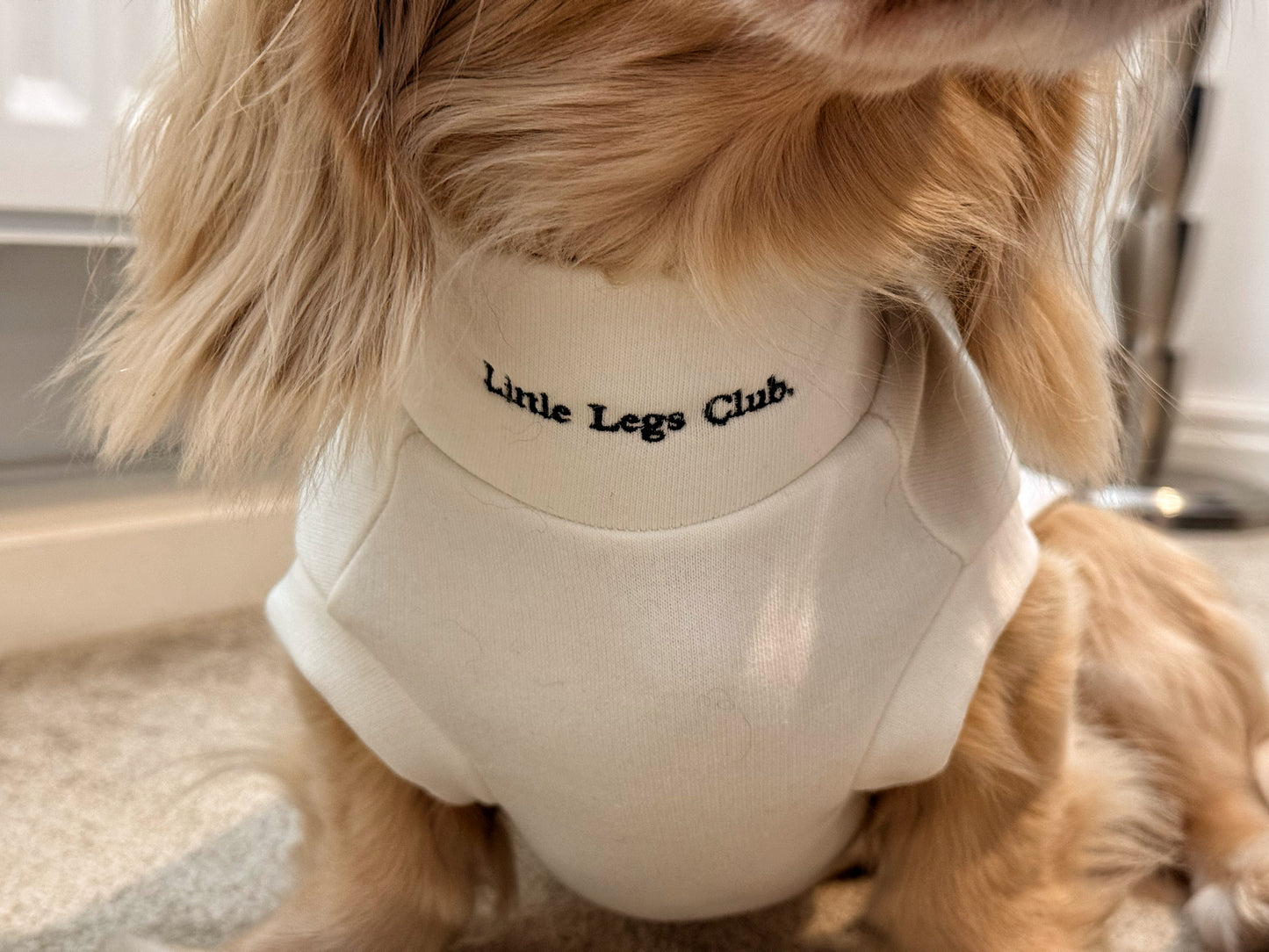 Little Legs Club Made to Measure Dog Sweater | Embroidered Dachshund Design | Cream | Custom Fit for Your Dog