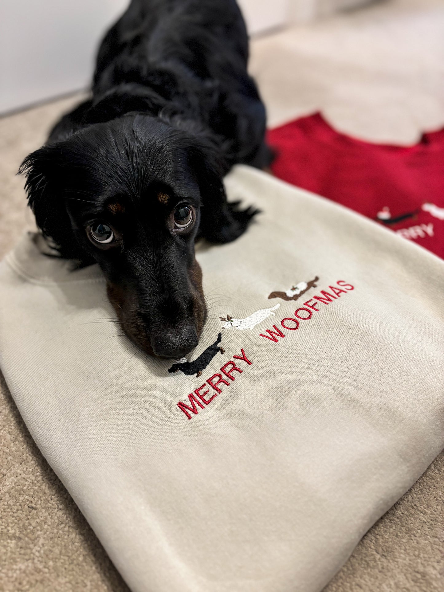 'Merry Woofmas' Personalised Sweater