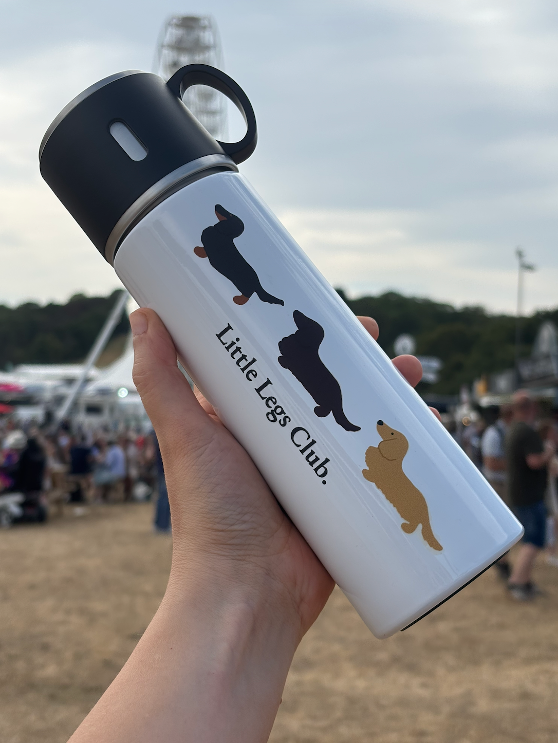 Little Legs Club Stainless Steel Flask with Cup Lid/Travel Water Bottle Boog and Bear