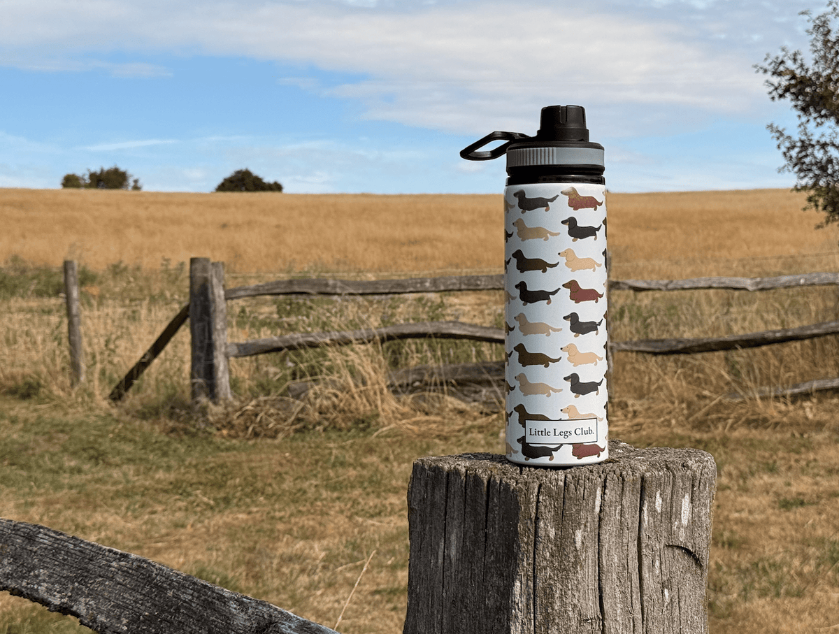 Little Legs Club 25oz/750ml Aluminium Water Bottle - Boog and Bear