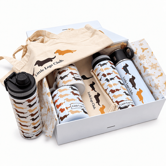 Little Legs Club Gift Box - Boog and Bear