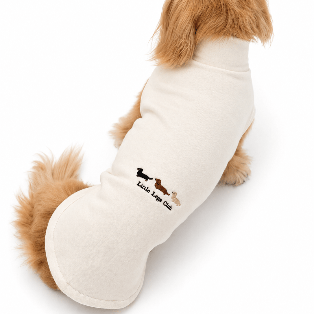 Little Legs Club Made to Measure Dog Sweater | Embroidered Dachshund Design | Cream | Custom Fit for Your Dog - Boog and Bear