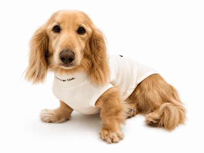 Little Legs Club Made to Measure Dog Sweater | Embroidered Dachshund Design | Cream | Custom Fit for Your Dog - Boog and Bear